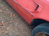 1977 Pontiac Trans Am for sale in Michigan (ID-137562)
