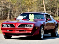 1977 Pontiac Trans Am for sale in Michigan (ID-140965)