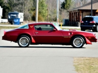 1977 Pontiac Trans Am for sale in Michigan (ID-140965)