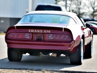 1977 Pontiac Trans Am for sale in Michigan (ID-140965)