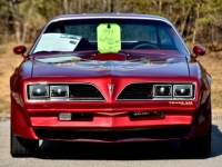 1977 Pontiac Trans Am for sale in Michigan (ID-140965)