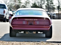 1977 Pontiac Trans Am for sale in Michigan (ID-140965)