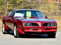 1977 Pontiac Trans Am for sale in Michigan (ID-140965)