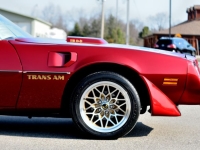 1977 Pontiac Trans Am for sale in Michigan (ID-140965)