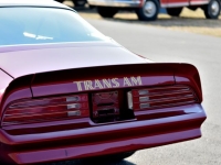 1977 Pontiac Trans Am for sale in Michigan (ID-140965)