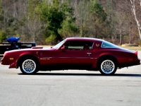 1977 Pontiac Trans Am for sale in Michigan (ID-140965)