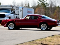 1977 Pontiac Trans Am for sale in Michigan (ID-140965)