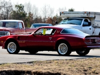 1977 Pontiac Trans Am for sale in Michigan (ID-140965)