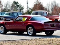 1977 Pontiac Trans Am for sale in Michigan (ID-140965)