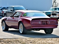 1977 Pontiac Trans Am for sale in Michigan (ID-140965)