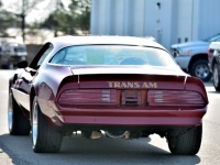 1977 Pontiac Trans Am for sale in Michigan (ID-140965)