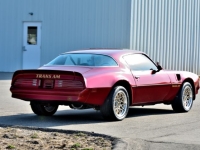 1977 Pontiac Trans Am for sale in Michigan (ID-140965)
