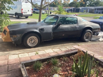 1977 Pontiac Trans Am for sale