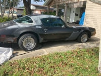 1977 Pontiac Trans Am for sale in Michigan (ID-141125)