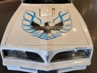 1977 Pontiac Trans Am for sale in Michigan (ID-143800)