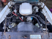 1977 Pontiac Trans Am for sale in Michigan (ID-143800)