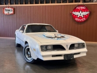 1977 Pontiac Trans Am for sale in Michigan (ID-143800)