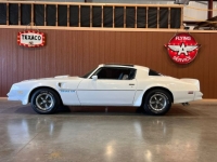 1977 Pontiac Trans Am for sale in Michigan (ID-143800)