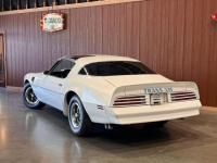 1977 Pontiac Trans Am for sale in Michigan (ID-143800)