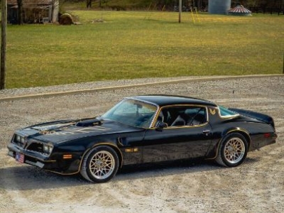 1977 Pontiac Trans Am for sale