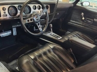 1977 Pontiac Trans Am for sale in Michigan (ID-145061)