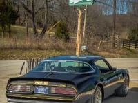 1977 Pontiac Trans Am for sale in Michigan (ID-145061)