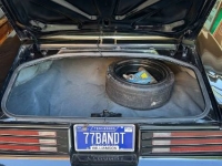 1977 Pontiac Trans Am for sale in Michigan (ID-145061)