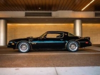 1977 Pontiac Trans Am for sale in Michigan (ID-145061)