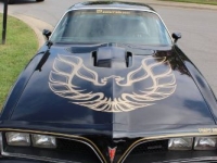 1977 Pontiac Trans Am for sale in Michigan (ID-145061)