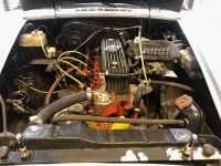 1977 Shelby Cobra for sale (ID-123007)