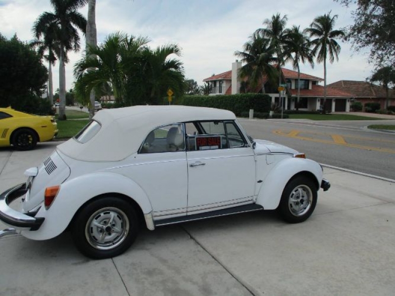 1977 Volkswagen Beetle for sale in Michigan (ID-123075)