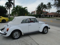 1977 Volkswagen Beetle for sale in Michigan (ID-123075)