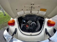 1977 Volkswagen Beetle for sale in Michigan (ID-123672)