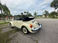 1977 Volkswagen Beetle for sale in Michigan (ID-123672)