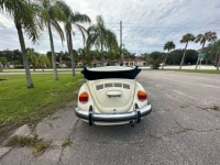 1977 Volkswagen Beetle for sale in Michigan (ID-123672)