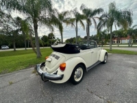 1977 Volkswagen Beetle for sale in Michigan (ID-123672)