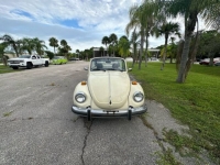 1977 Volkswagen Beetle for sale in Michigan (ID-123672)