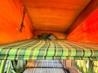 1977 Volkswagen Bus for sale in Michigan (ID-123099)