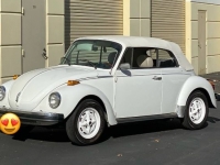 1977 Volkswagen Super Beetle for sale in Michigan (ID-124376)