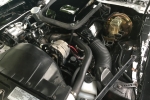 1978 Pontiac Trans Am for sale in Miami, Florida (ID-38351)