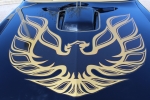 1978 Pontiac Trans Am for sale in Miami, Florida (ID-38351)