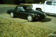 1978 Alfa Romeo Spider for sale
