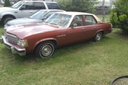 1978 Buick Skylark for sale