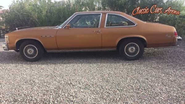 1978 Buick Skylark for sale in Michigan (ID-46206)