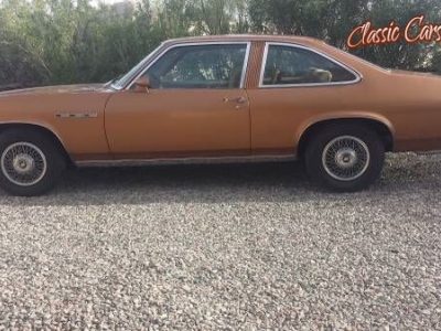 1978 Buick Skylark for sale