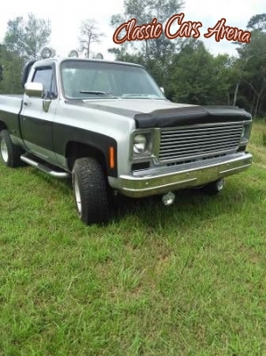 1978 Chevrolet Scottsdale for sale in Michigan (ID-13168)