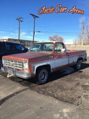 1978 Chevrolet Silverado for sale in Michigan (ID-19370)