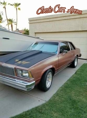 1978 Chevrolet Malibu for sale in Michigan (ID-34483)