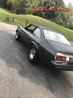 1978 Chevrolet Nova for sale in Michigan (ID-44254)
