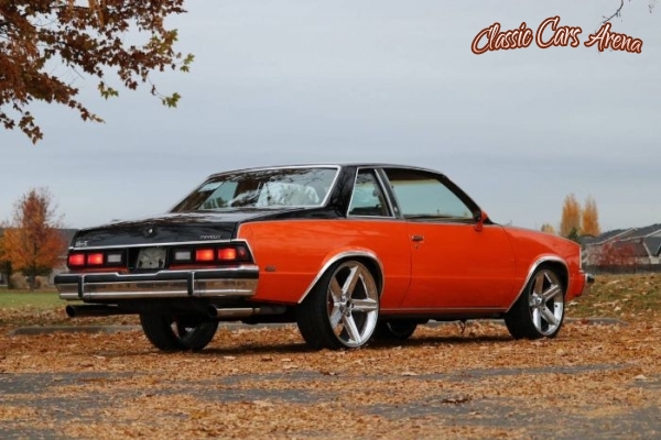 1978 Chevrolet Malibu for sale in Michigan (ID-45928)